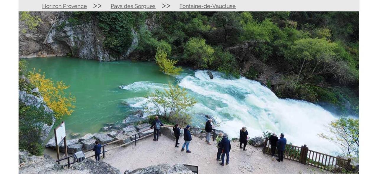 Villa Isle Sur La Sorgue Au Coeur De La Provence LʼIsle-sur-la-Sorgue Eksteriør billede